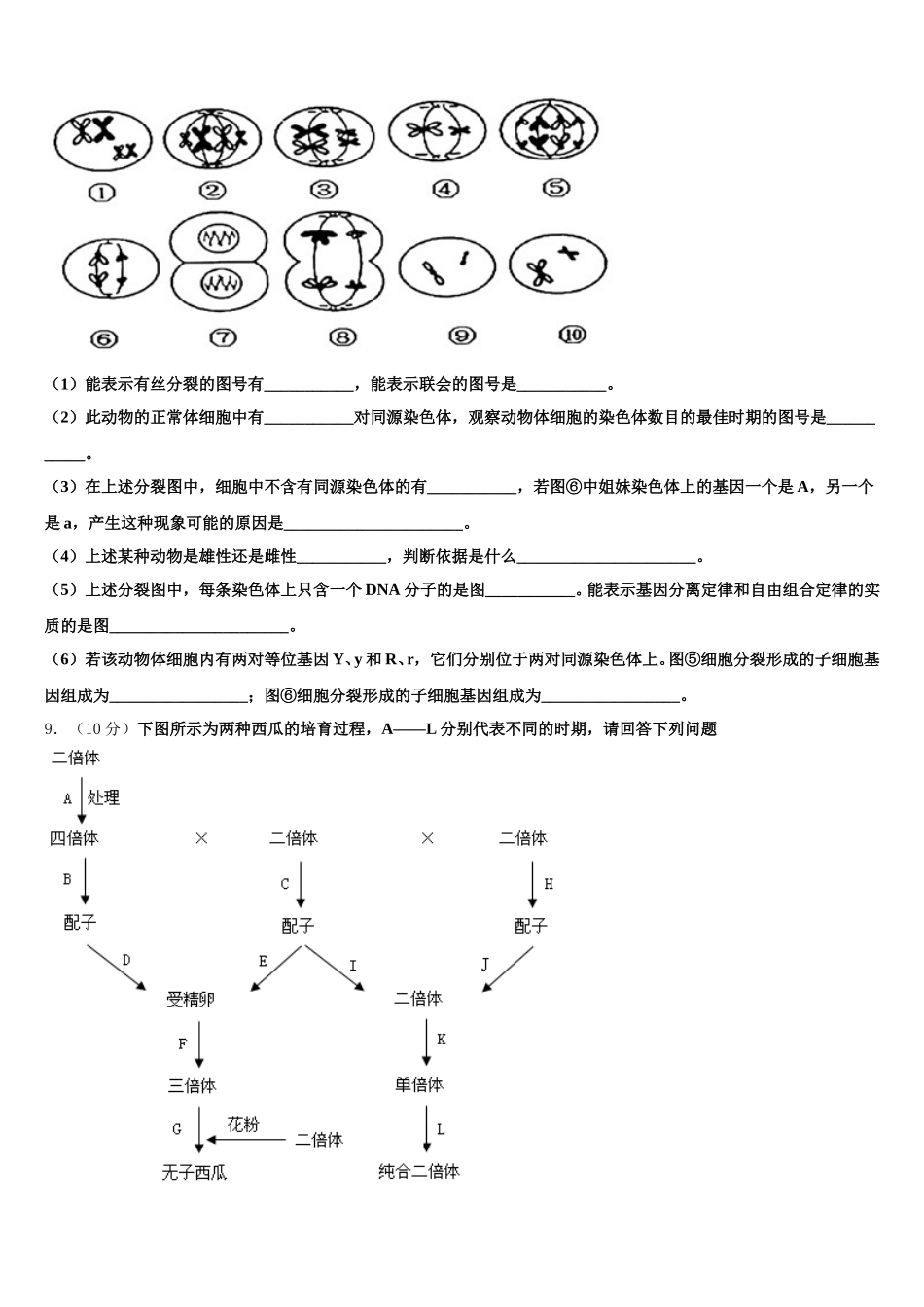 2025届辽宁省葫芦岛市八中高一下生物期末达标检测模拟试题含解析_第3页
