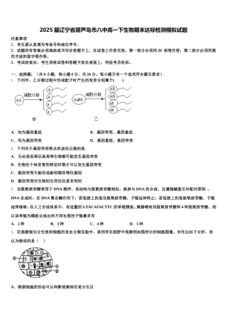 2025届辽宁省葫芦岛市八中高一下生物期末达标检测模拟试题含解析