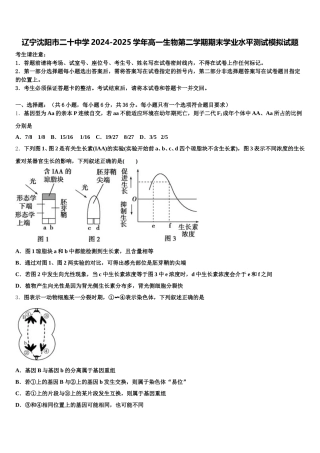 辽宁沈阳市二十中学2024-2025学年高一生物第二学期期末学业水平测试模拟试题含解析