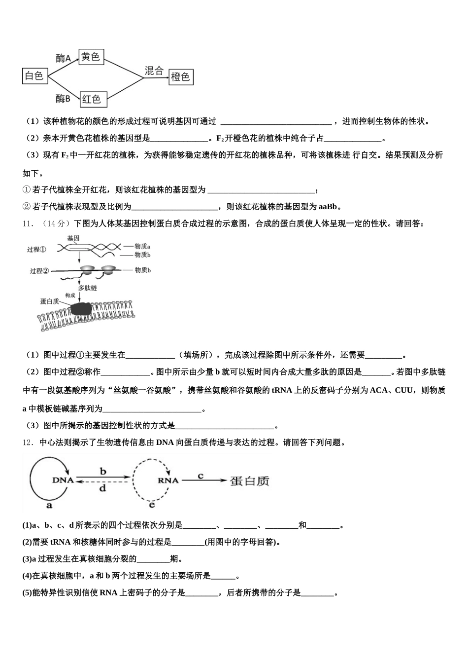 辽宁省瓦房店市2024-2025学年高一下生物期末教学质量检测试题含解析_第3页