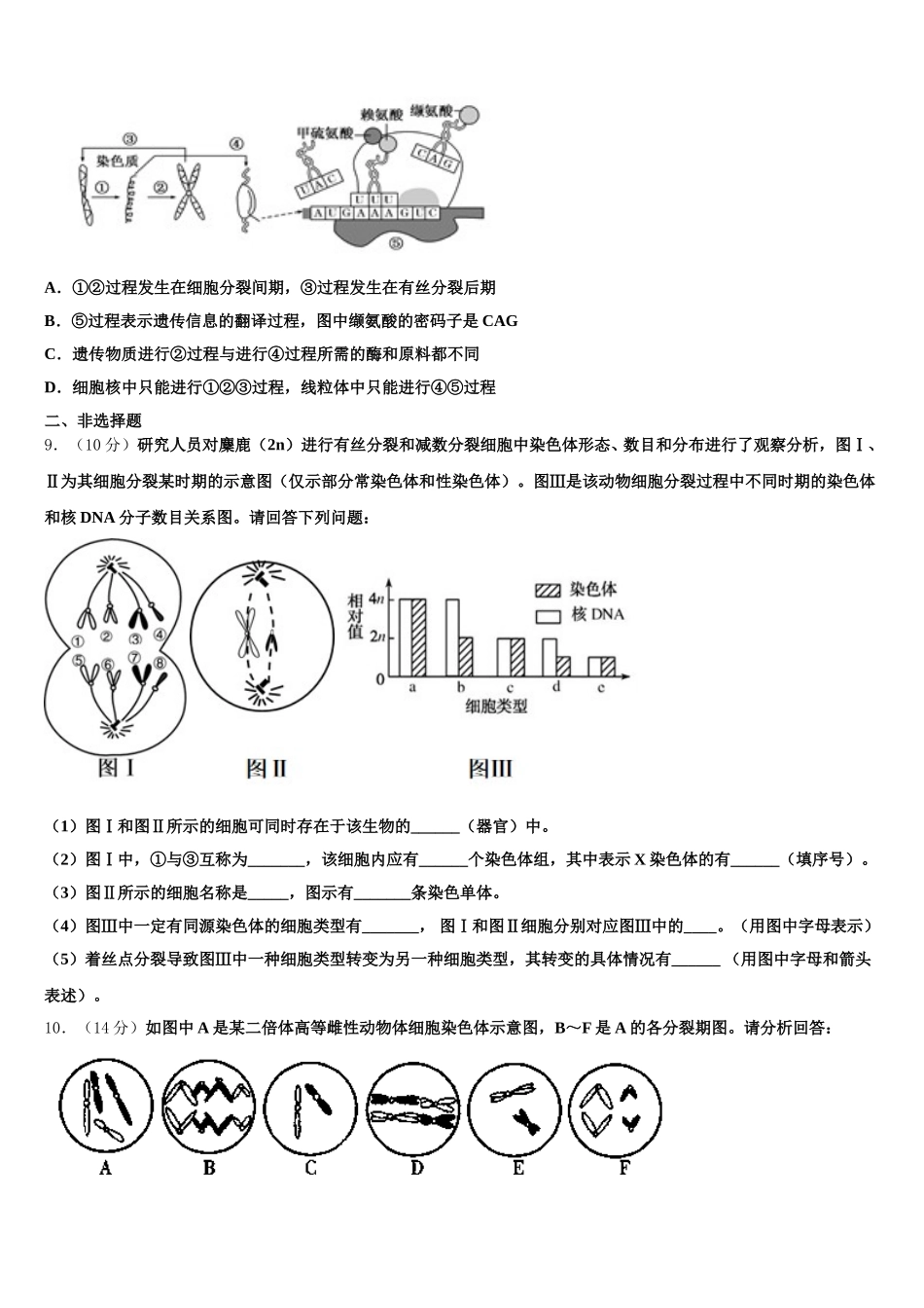 2025年辽宁大连市高一生物第二学期期末达标测试试题含解析_第2页