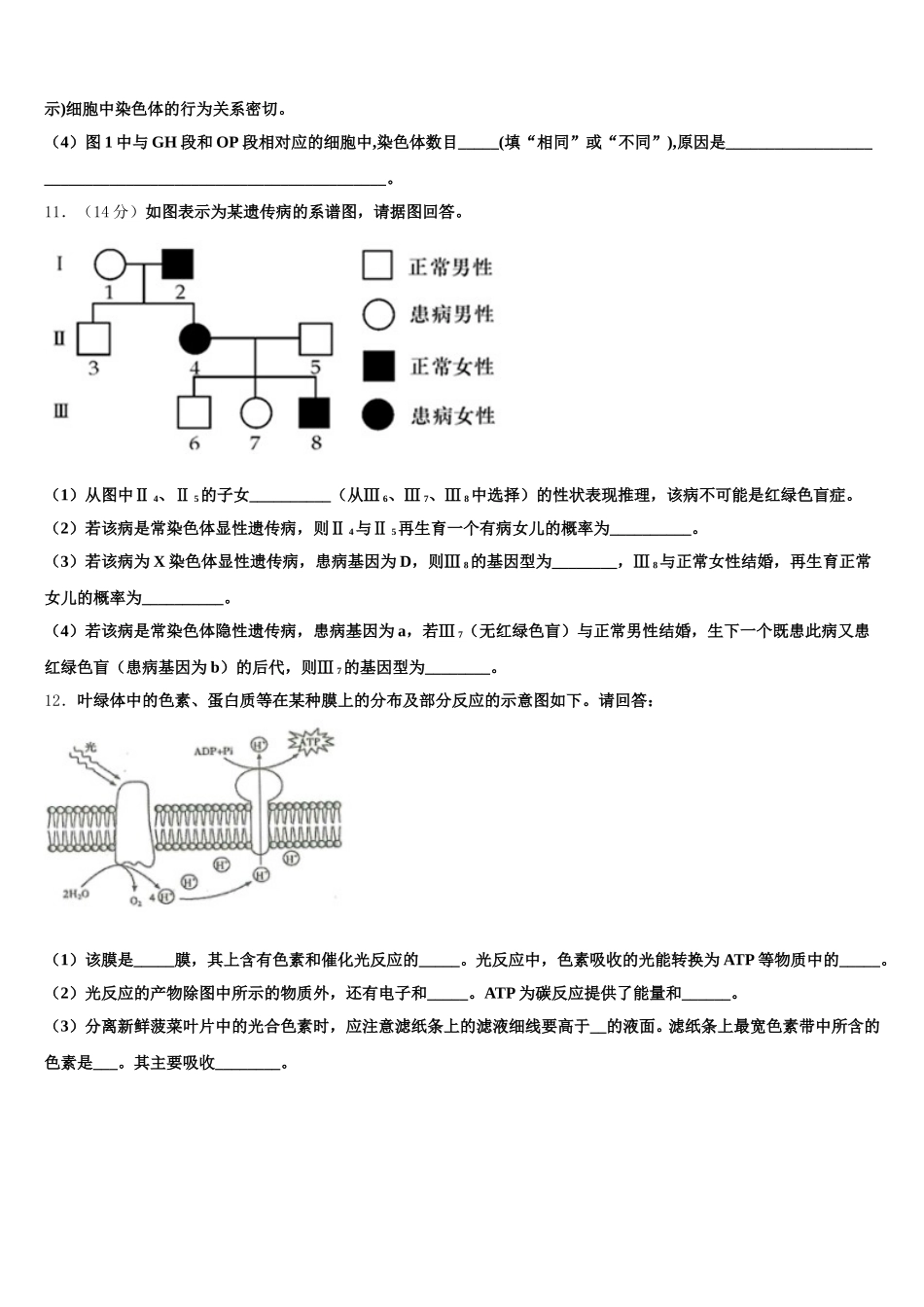 朝阳市重点中学2025年生物高一下期末达标测试试题含解析_第3页