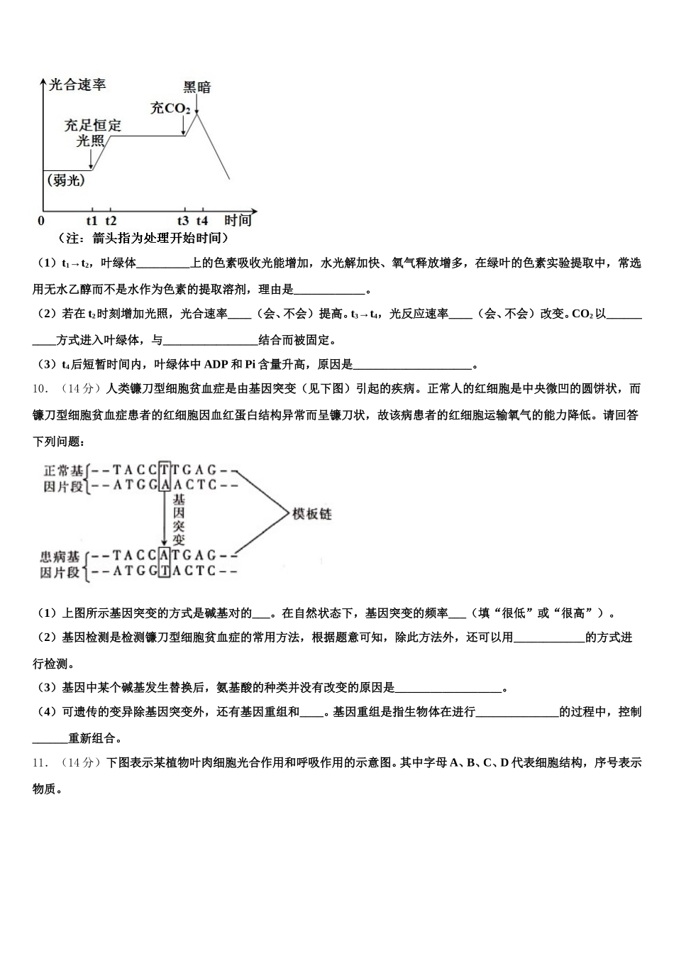 2025届辽宁省凌源市三校高一生物第二学期期末监测模拟试题含解析_第3页