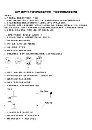 2025届辽宁省庄河市高级中学生物高一下期末质量检测模拟试题含解析