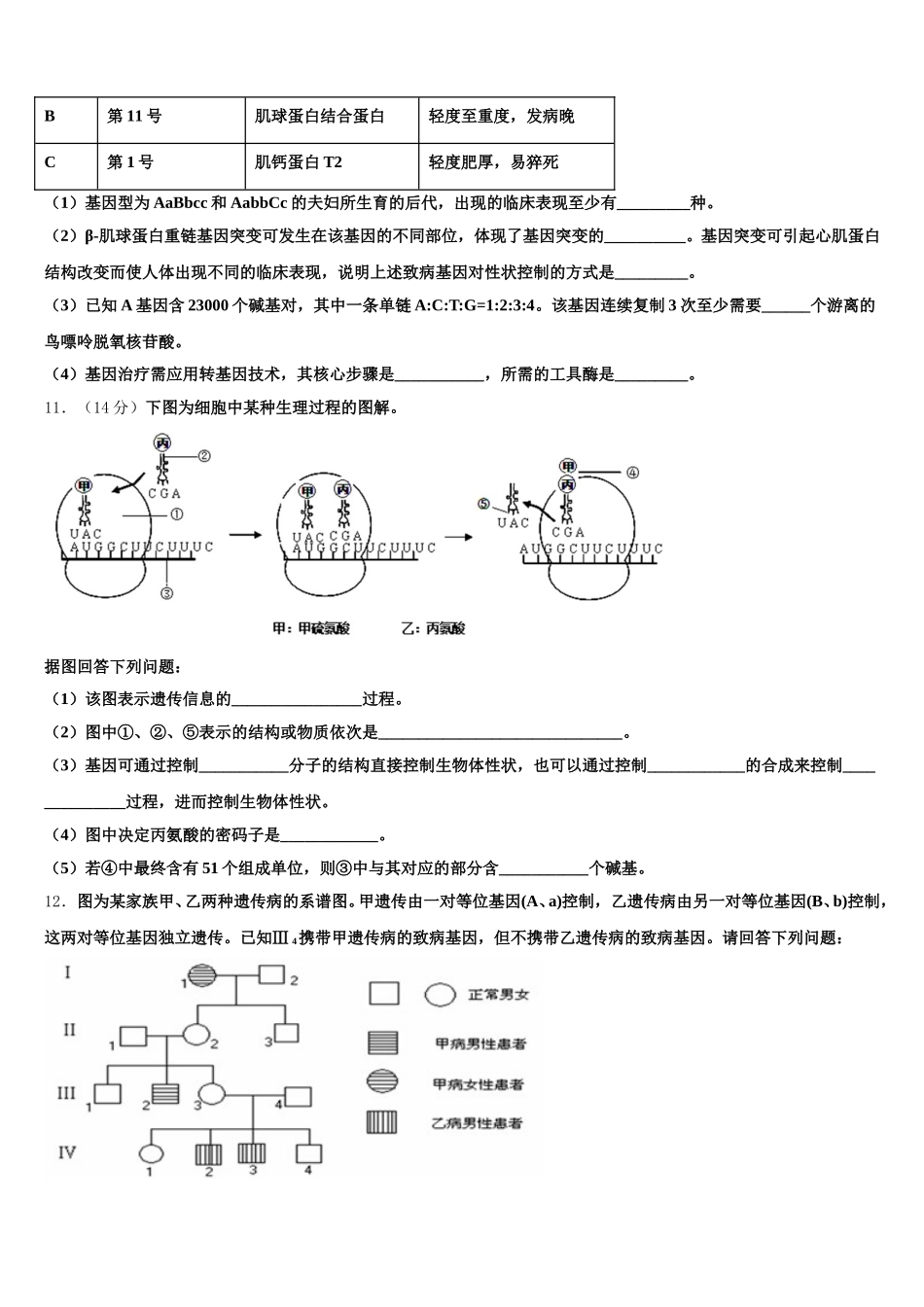 2025年辽宁省瓦房店市八中生物高一下期末达标检测试题含解析_第3页