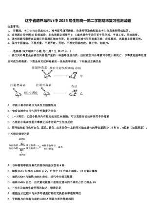 辽宁省葫芦岛市八中2025届生物高一第二学期期末复习检测试题含解析