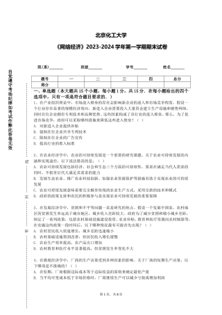 北京化工大学《网络经济》2023-2024学年第一学期期末试卷