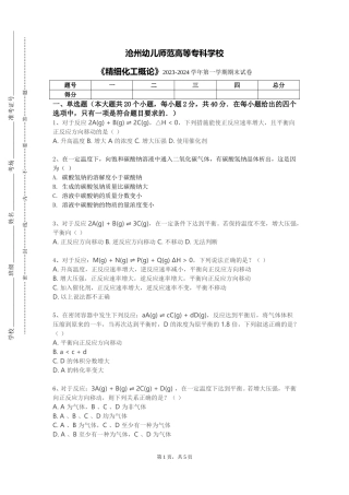 沧州幼儿师范高等专科学校《精细化工概论》2023-2024学年第一学期期末试卷